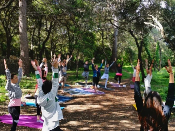 Cours collectif de yoga dans la forêt